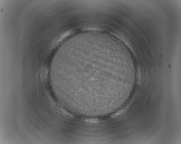 X0000081490355200702021928