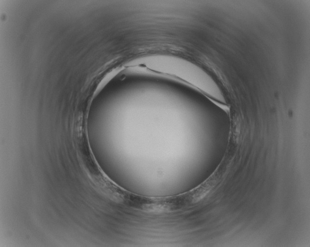 X0000081490356200702021928