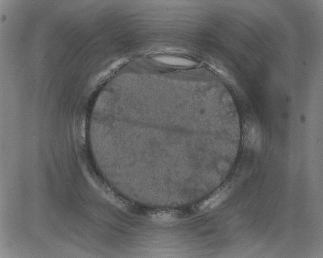 X0000081490358200702021928