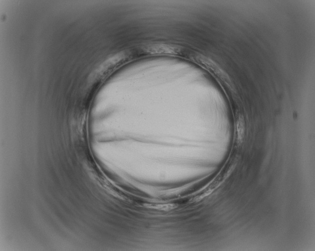 X0000081490359200702021928