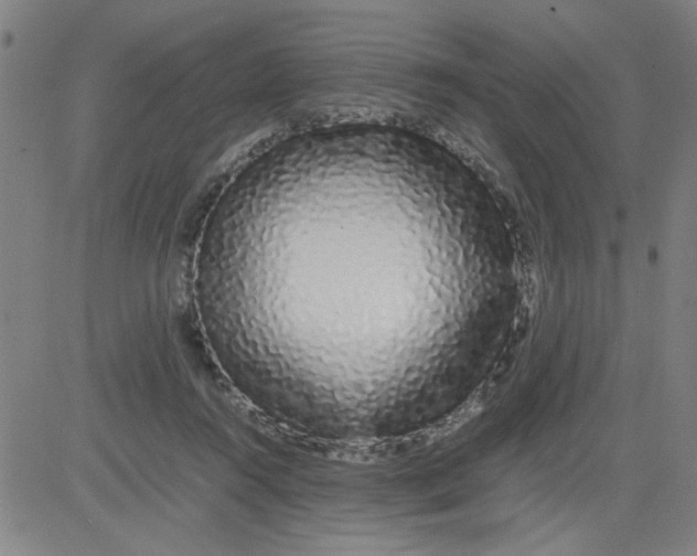 X0000081490360200702021928