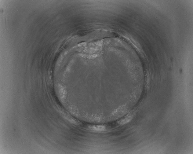 X0000081490361200702021928