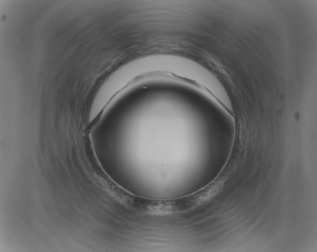 X0000081490362200702021928