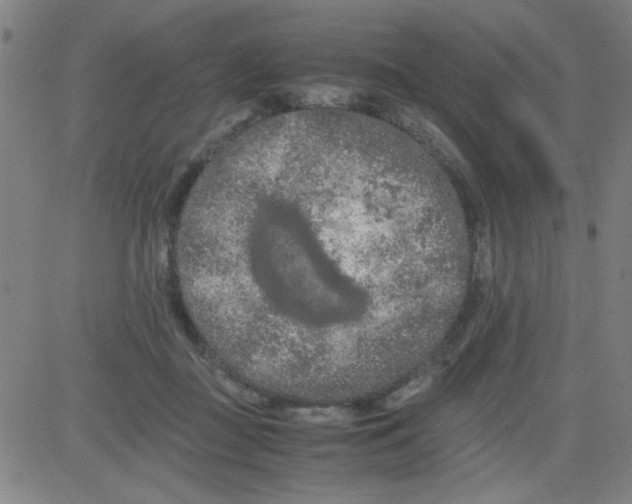 X0000081490363200702021928