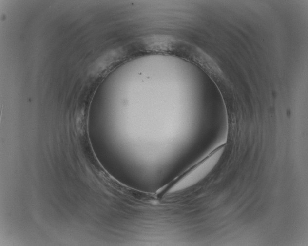 X0000081490364200702021928