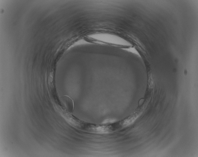 X0000081490365200702021928