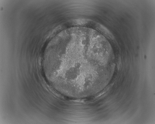 X0000081490366200702021928