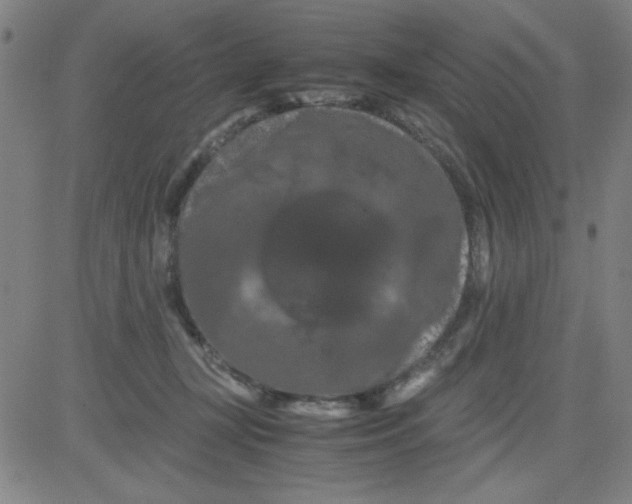 X0000081490367200702021928