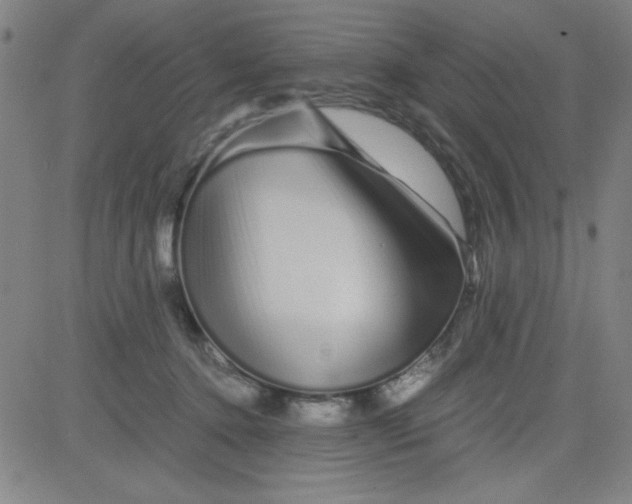 X0000081490368200702021929