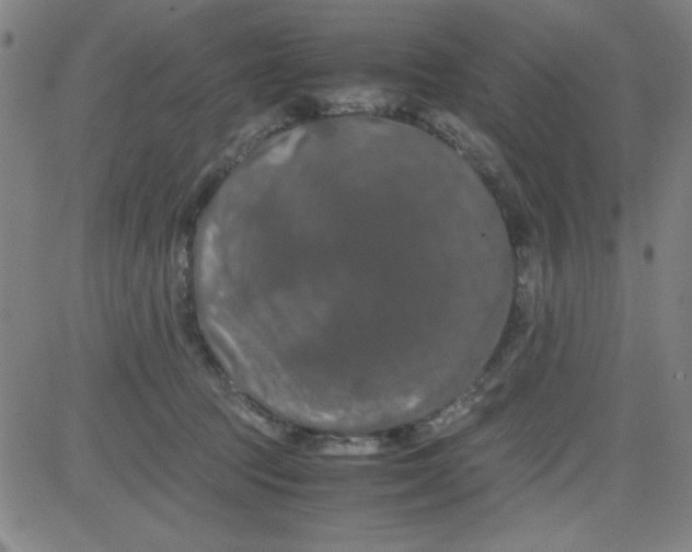 X0000081490369200702021929