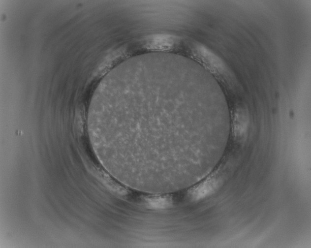 X0000081490370200702021929