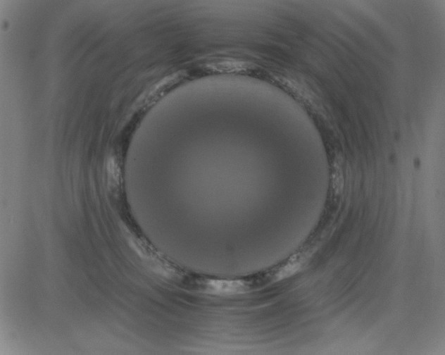 X0000081490371200702021929