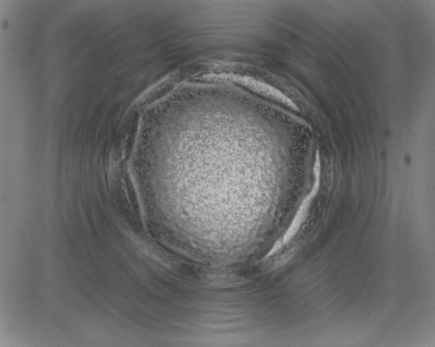 X0000081490372200702021929