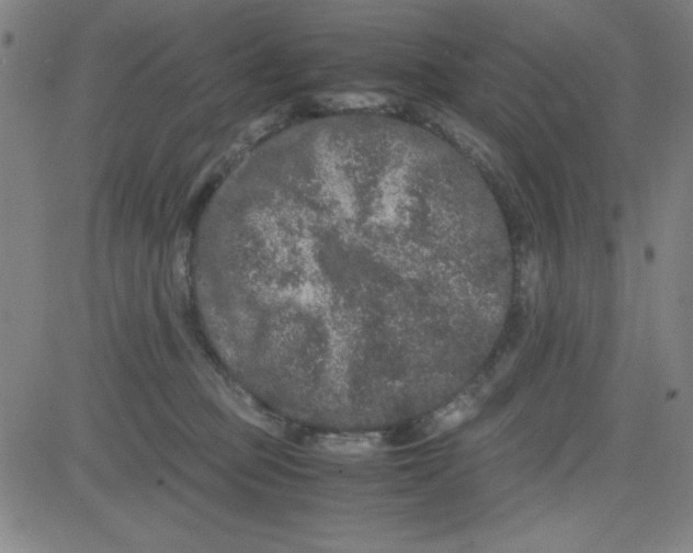 X0000081490373200702021929