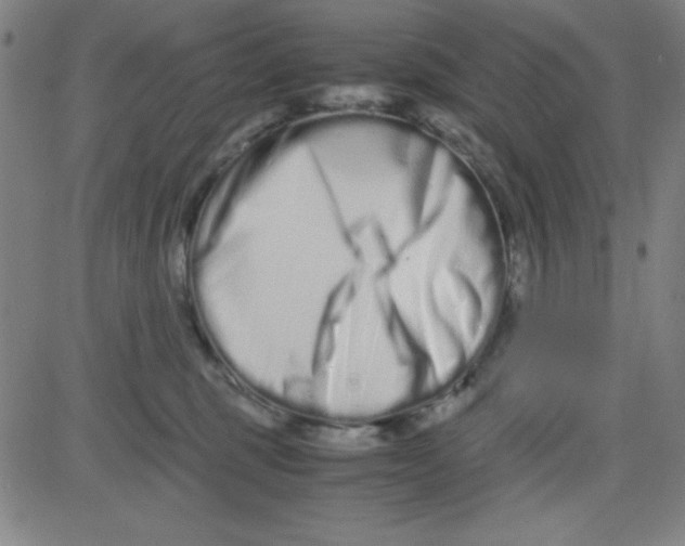 X0000081490375200702021929