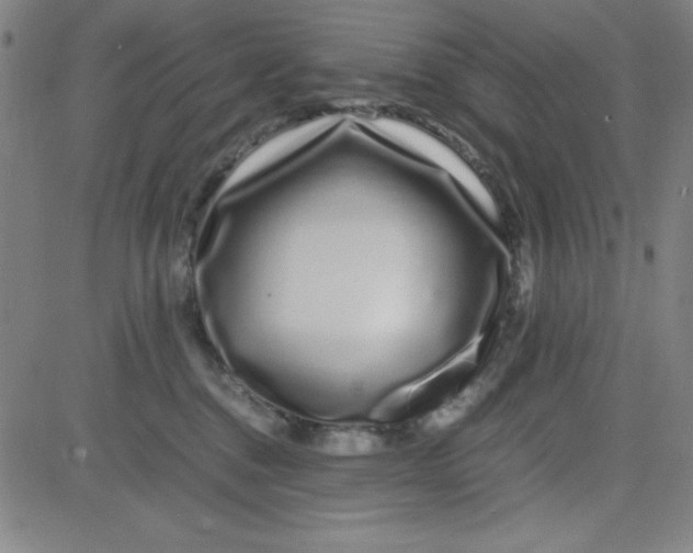 X0000081490376200702021929