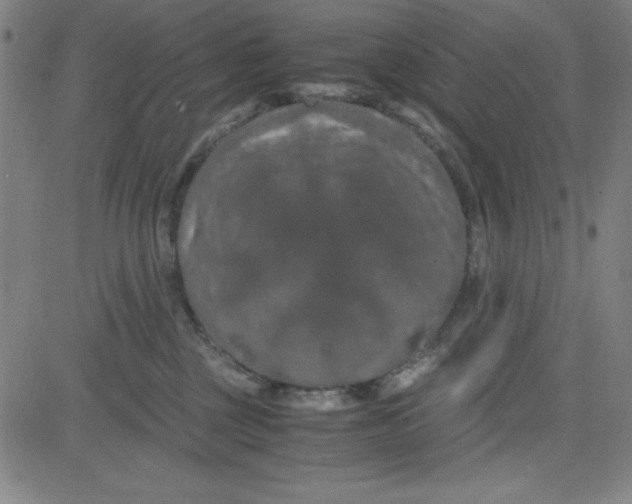 X0000081490377200702021929