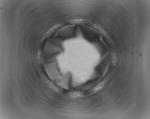 X0000081490378200702021929