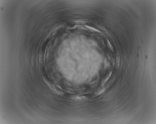 X0000081490379200702021929