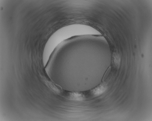 X0000081490380200702021929