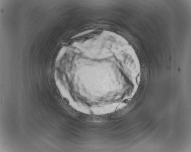 X0000081490381200702021929