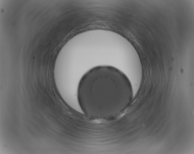 X0000081490382200702021929