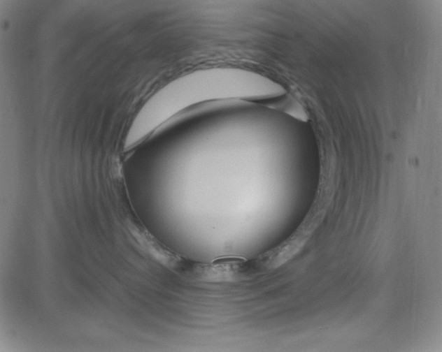 X0000081490384200702021929