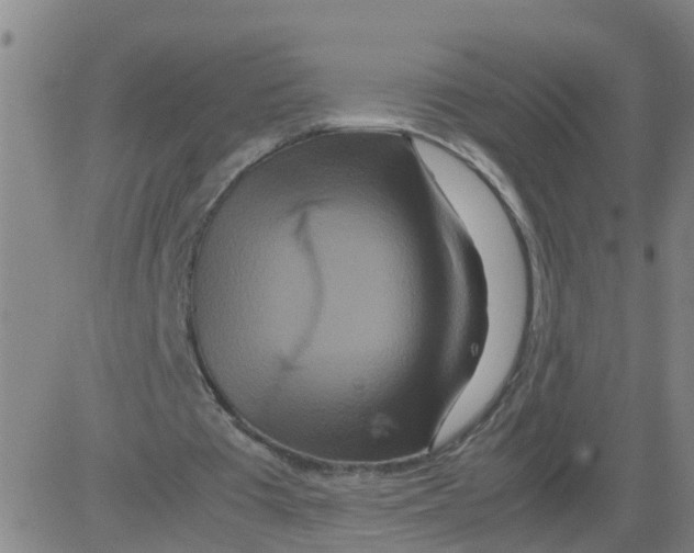 X0000081490385200702021928