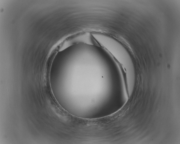 X0000081490388200702021928