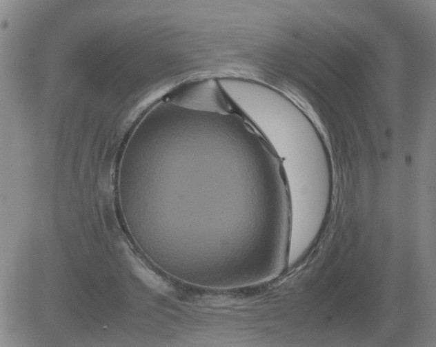 X0000081490389200702021928