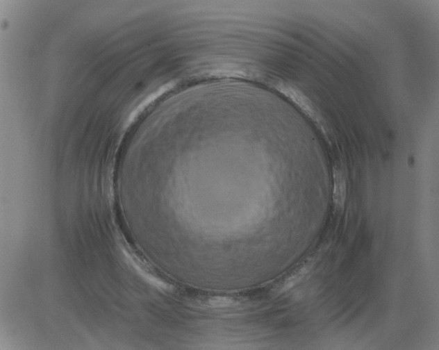 X0000081490390200702021928