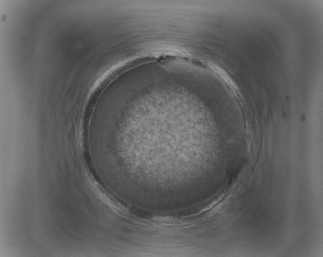 X0000081490391200702021928