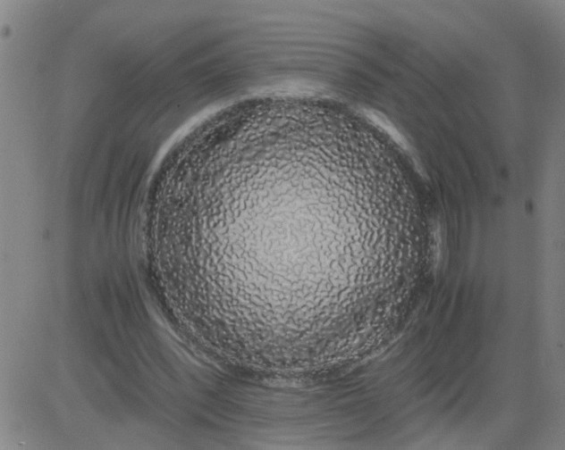 X0000081490392200702021928