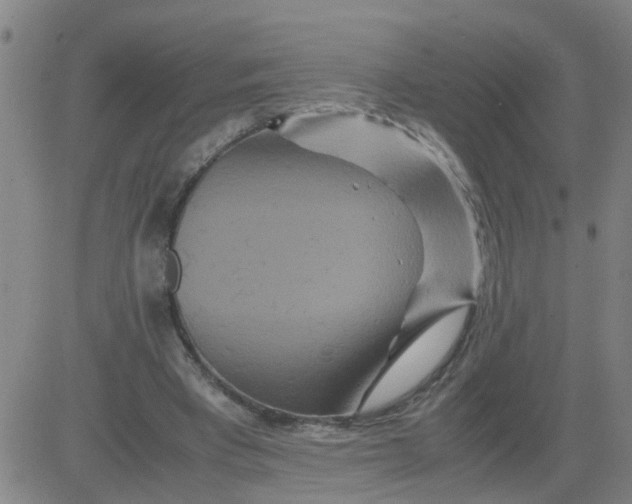 X0000081490393200702021928