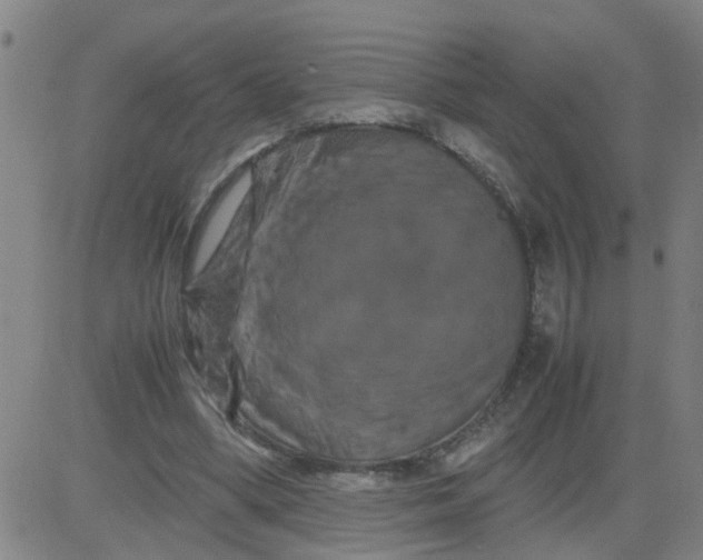 X0000081490394200702021928