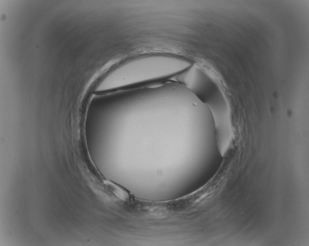 X0000081490395200702021928