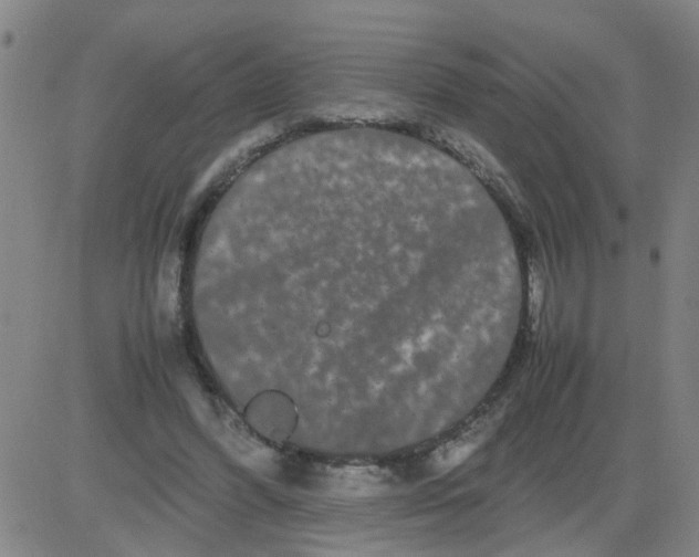 X0000081490396200702021928