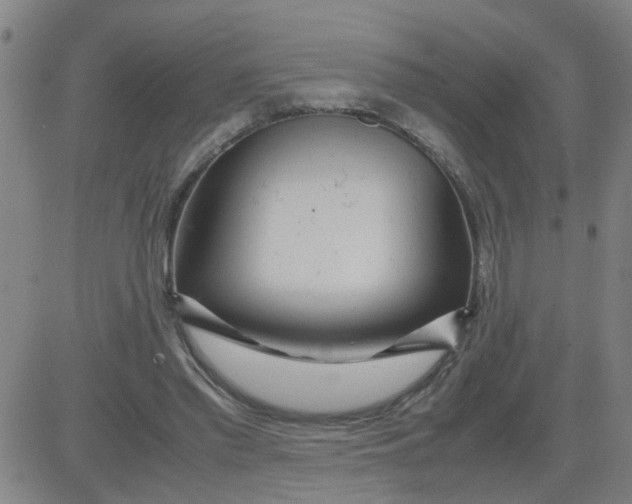 X0000081490397200702021928