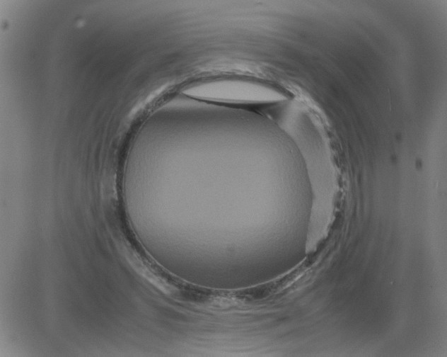 X0000081490399200702021928