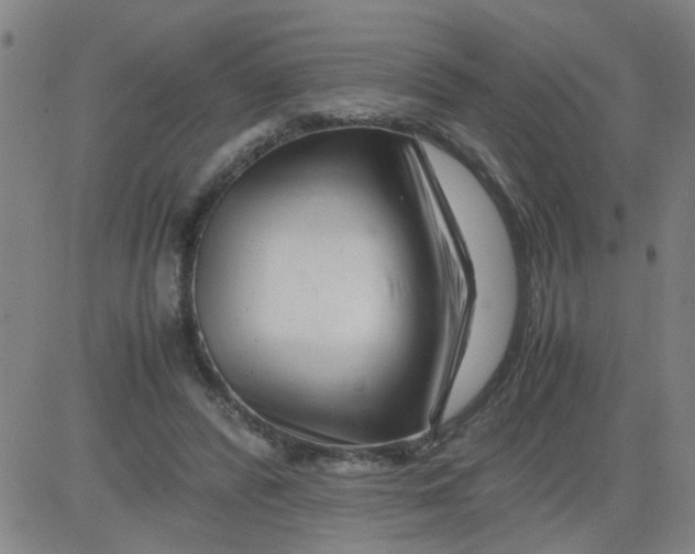 X0000081490400200702021928