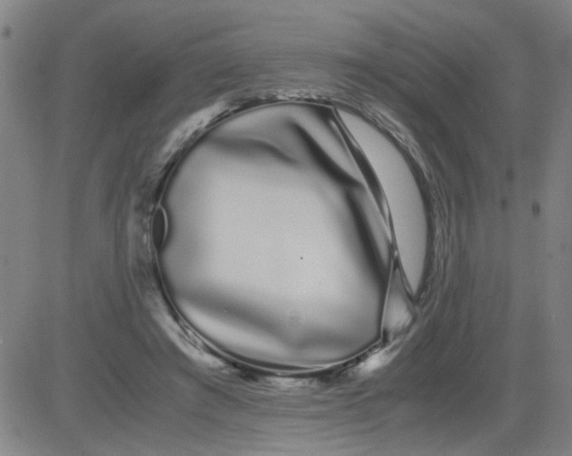 X0000081490401200702021928