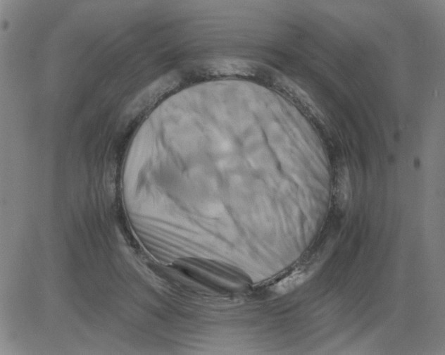 X0000081490402200702021928