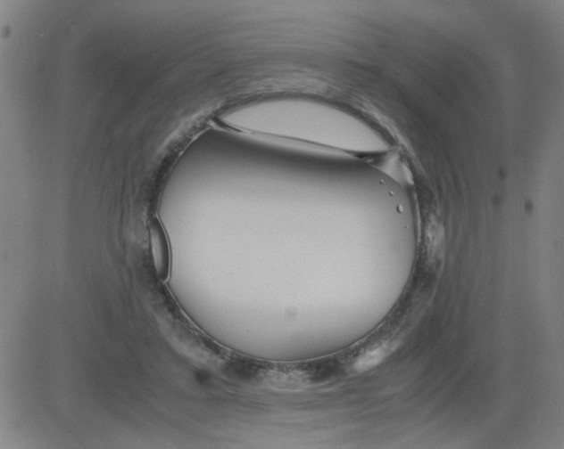 X0000081490403200702021928