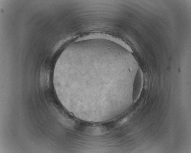 X0000081490404200702021928