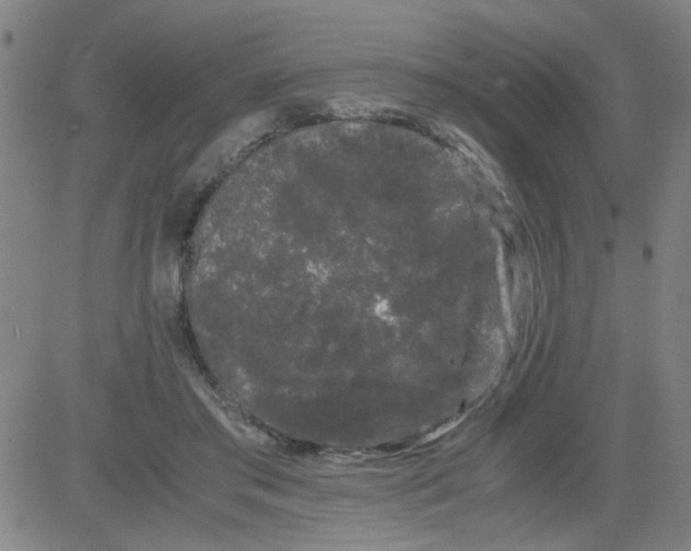 X0000081490405200702021928