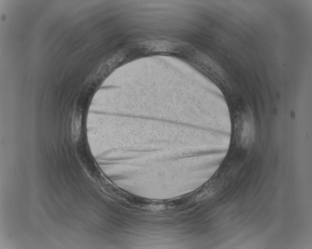 X0000081490406200702021928