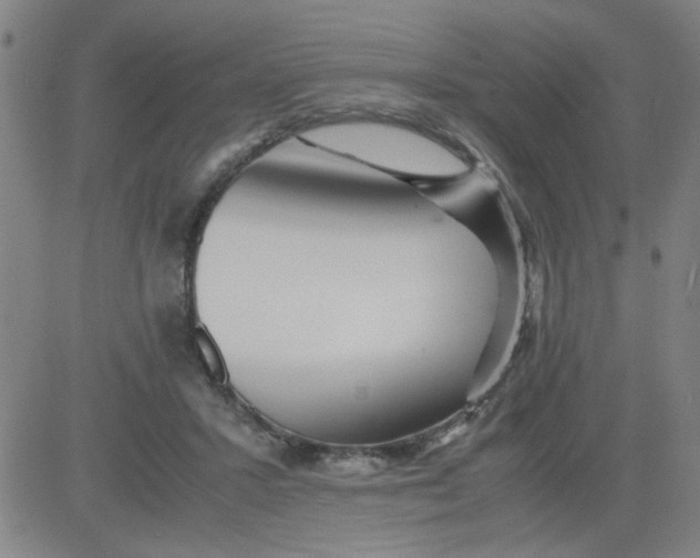 X0000081490407200702021928