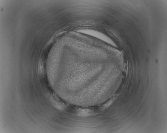 X0000081490408200702021928