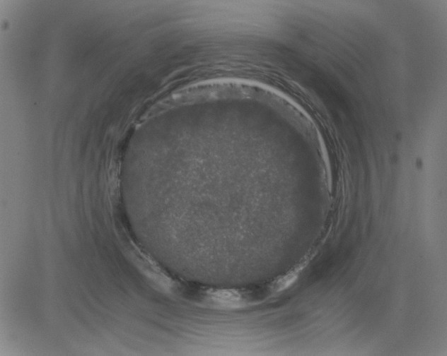 X0000081490409200702021928