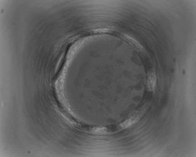 X0000081490410200702021928